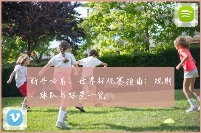 新手必看！世界杯观赛指南：规则、球队与球星一览