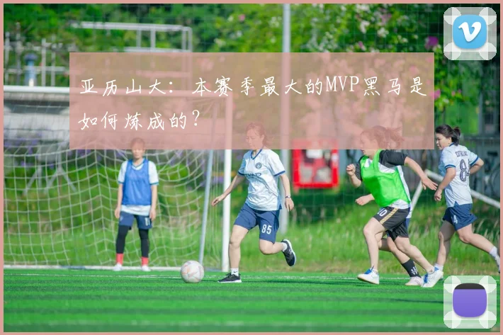 亚历山大：本赛季最大的MVP黑马是如何炼成的？