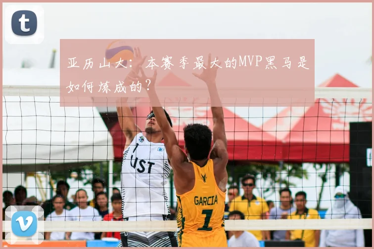 亚历山大：本赛季最大的MVP黑马是如何炼成的？