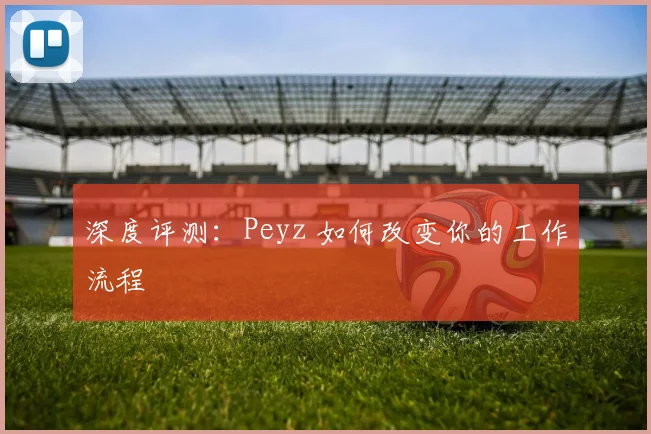 深度评测：Peyz 如何改变你的工作流程