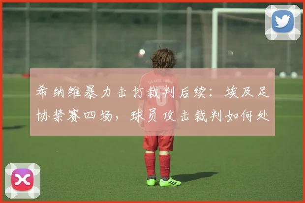 希纳维暴力击打裁判后续：埃及足协禁赛四场，球员攻击裁判如何处罚？